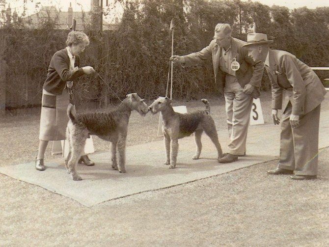 To Spar or Not to Spar?